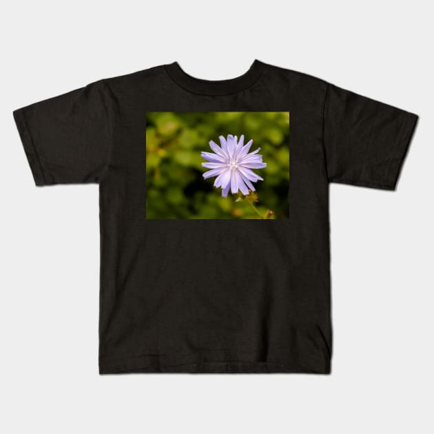 Purple chicory flower Kids T-Shirt by lena-maximova